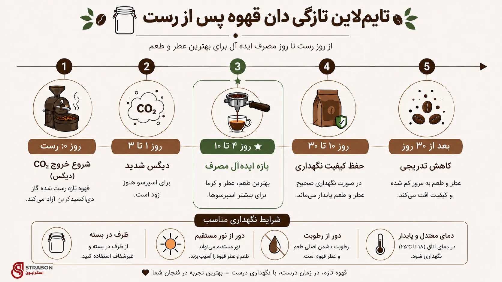 تایم لاین تازگی دان قهوه پس از رست